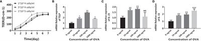 Establishment of a 3-Dimensional Intestinal Cell Model to Simulate the Intestinal Mucosal Immune System for Food Allergy Investigations